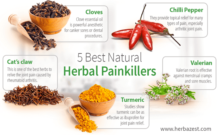Benefits of herbal remedies for managing pain