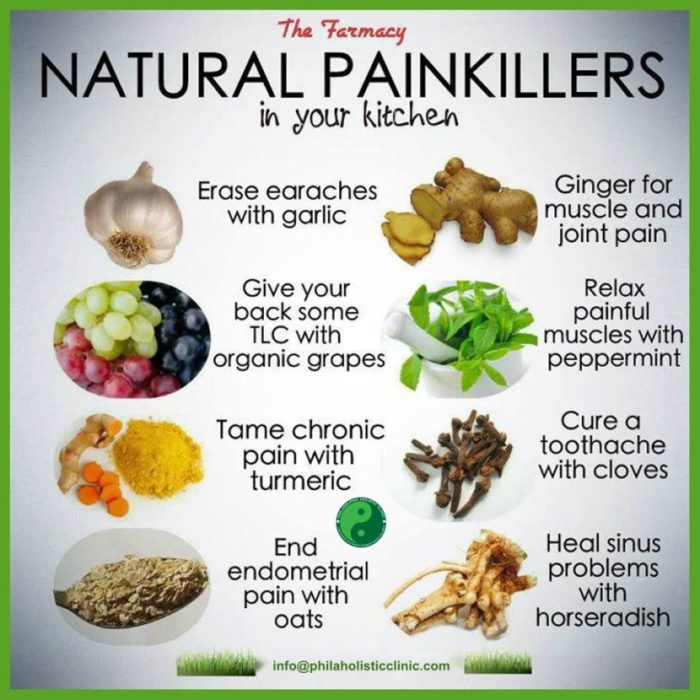Benefits of herbal remedies for managing pain
