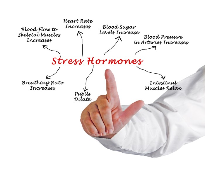 How to manage stress for hormone regulation
